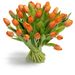 Bouquet of tulips in orange