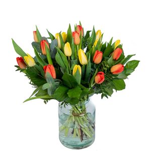 Tulpenboeket Stralend