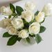 Roses blanches + ours gratuit