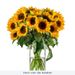 20 Sunflowers