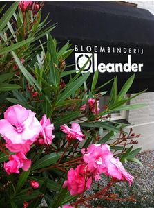 Logo Bloembinderij Oleander