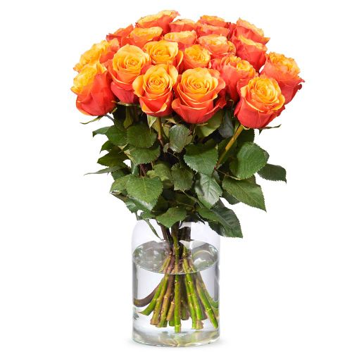 Long orange roses | choose quantity