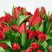 Bouquet de tulipes rouges