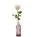 White rose gift | Incl . Vase