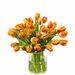 Bouquet de tulipes oranges