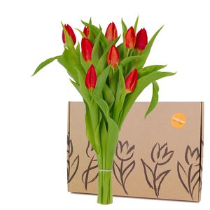 Letterbox Red Tulips