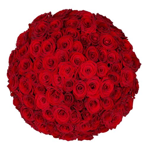 90 Rote Rosen - Premium Red Naomi