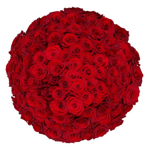 100 rode rozen via onze Bloemist