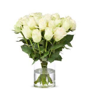 20 Weiße Rosen (40 cm)