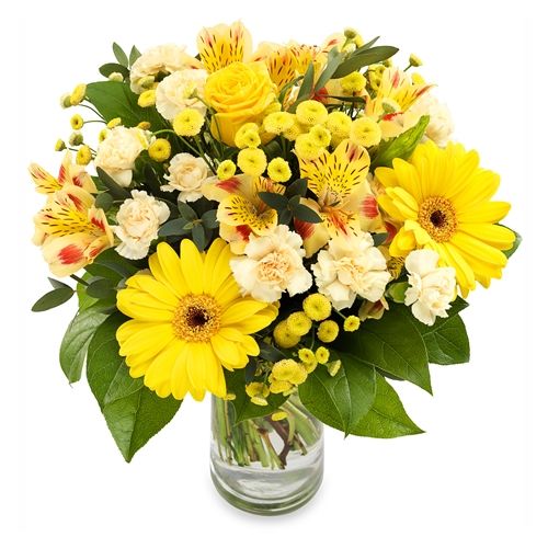 Supernova - Supernova delivery in Germany | Regionsflorist