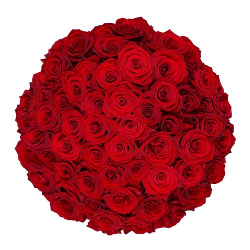 50 rode rozen | Bloemist
