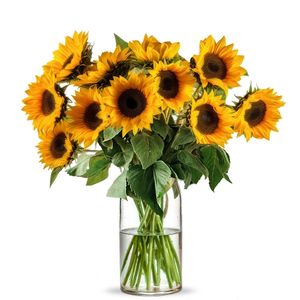 10 Zonnebloemen - Tijdelijke aanbieding