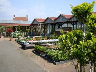 Buitenplanten bij Bloembinderij en tuincentrum Dianthus
