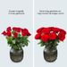 Red roses (40cm)