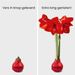 Amaryllis wax bol (rood glitter)