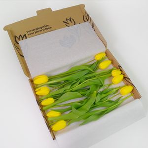 Brievenbus Gele Tulpen
