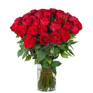 40 red roses | Grower