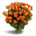 Bouquet of roses in orange