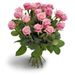 Rosa Rosen in Vollendung