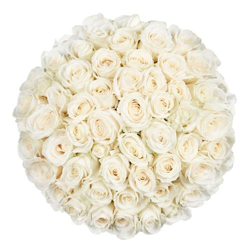 50 Premium witte rozen | Bloemist