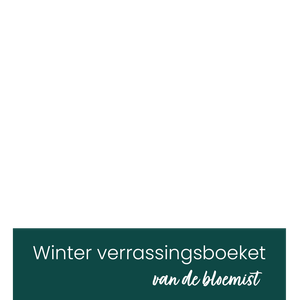 Winter Verrassingsboeket overlay