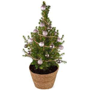 Kerstboom Silver