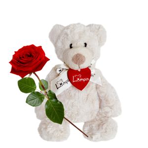 Een rode roos met teddybeer