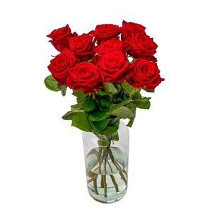 10x Red Naomi Roses