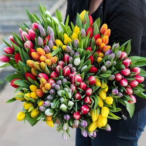 Large bunch of mixed tulips XL