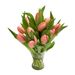 light pink tulips treasure