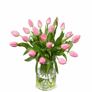 Bouquet pink tulips