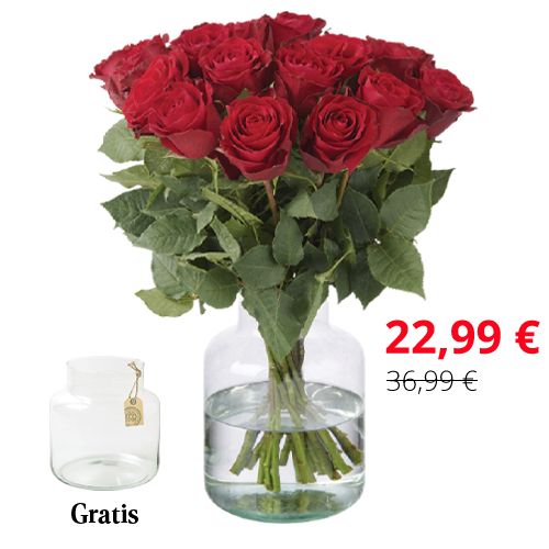 20 Red Roses (40 cm) + Free Vase