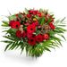 Romanze in rot