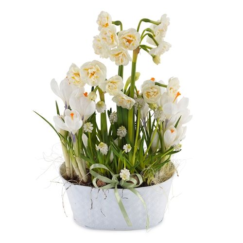 Frühlingserwachen