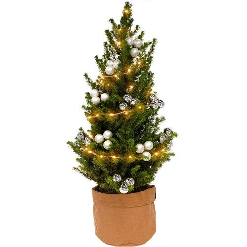Mini Weihnachtsbaum silber + gratis braune Tasche  Mini Weihnachtsbaum  silber + gratis braune Tasche bestellen und liefern über Regionsflorist