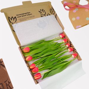 Letterbox Warm Multicolour Tulips