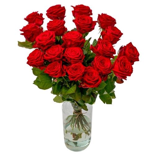20x roses rouges Naomi