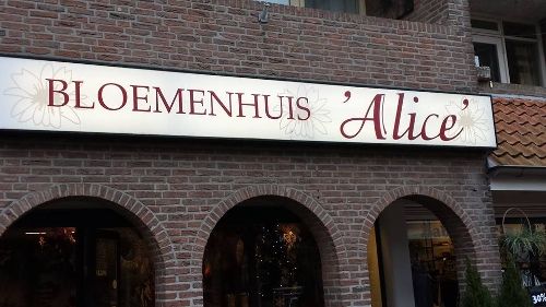 Winkelpand Bloemenhuis Alice Dedemsvaart