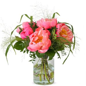 Roze pioenrozen Lizzy