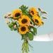 Bouquet of the month July
