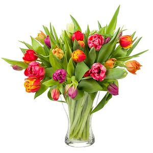 25 gemengde tulpen