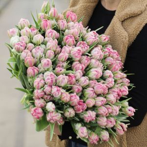 Large bunch of pink double tulips XL