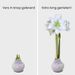 Amaryllis wax bol (wit)