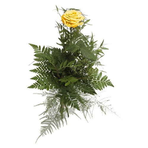 1 gelbe Rose
