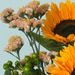 Bouquet du mois de juillet