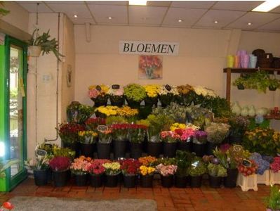 Bloemenhandel van Tol