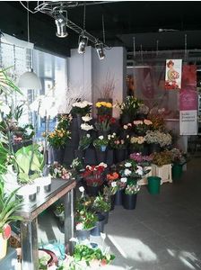 Foto in de bloemenwinkel Bloemenboetiek John Vinkeveen