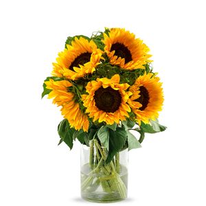 5 zonnebloemen
