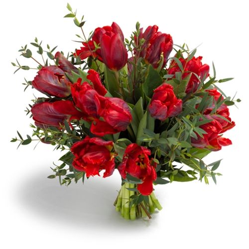 Rococo Red Tulips