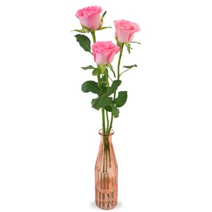 3 Rosa Rosengeschenk | Inkl. Vase